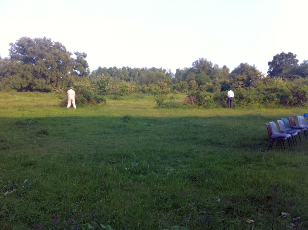 Impressie 1 voorstelling Diplodocus Deks