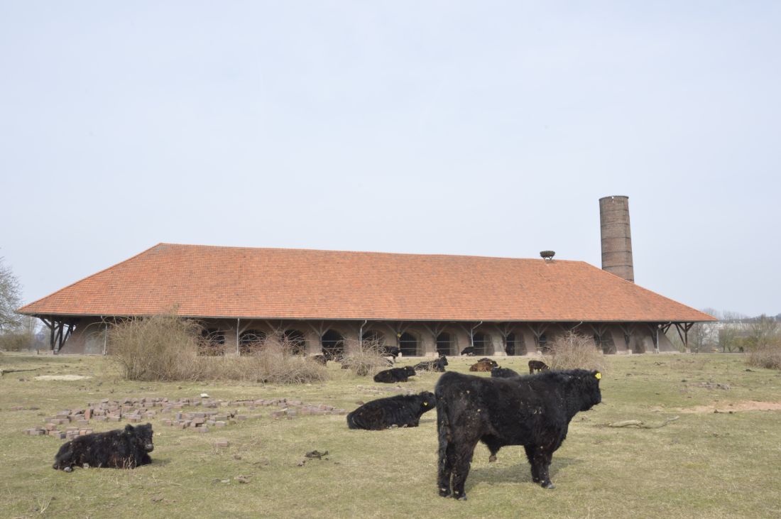 Locatie voorstelling Diplodocus Deks