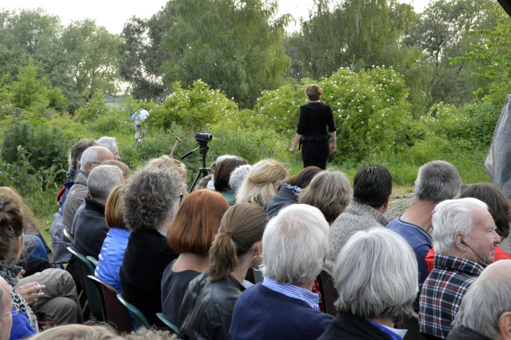Impressie 22 van voorstelling: Diplodocus Deks