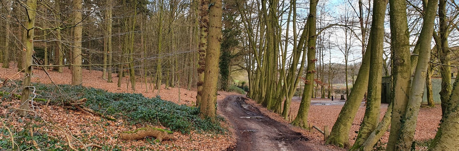 Locatie voorstelling Het Bos van Dode Liefjes
